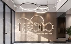 Commercial interior design for premium residential complex TESORO