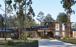 Project of ecological house in a pine forest